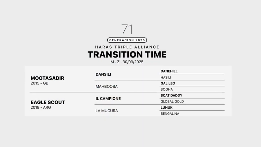 Lote TRANSITION TIME