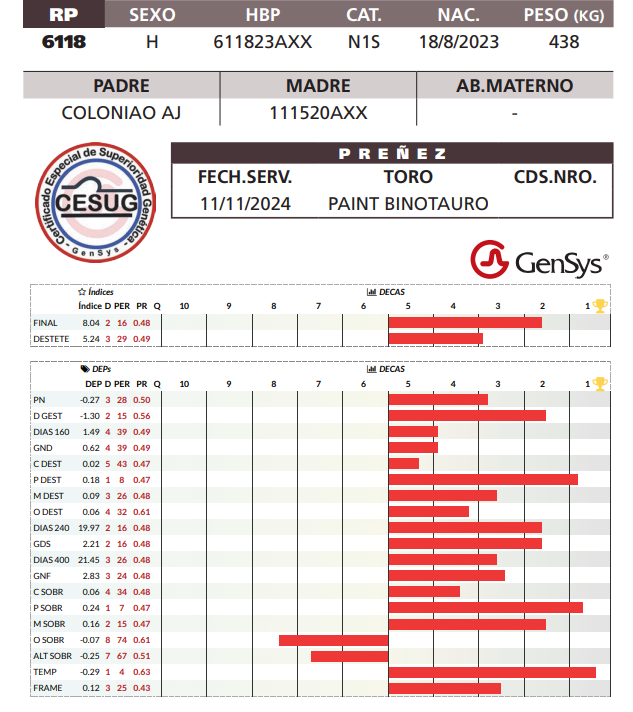 Lote LOTE 13