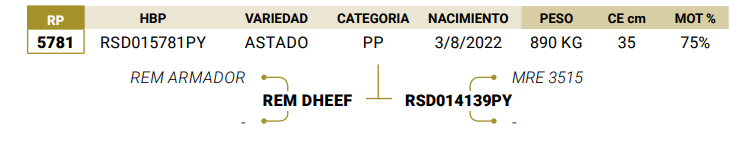Lote LOTE 41