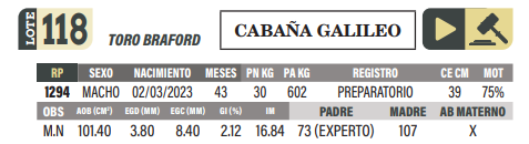 Lote LOTE 118