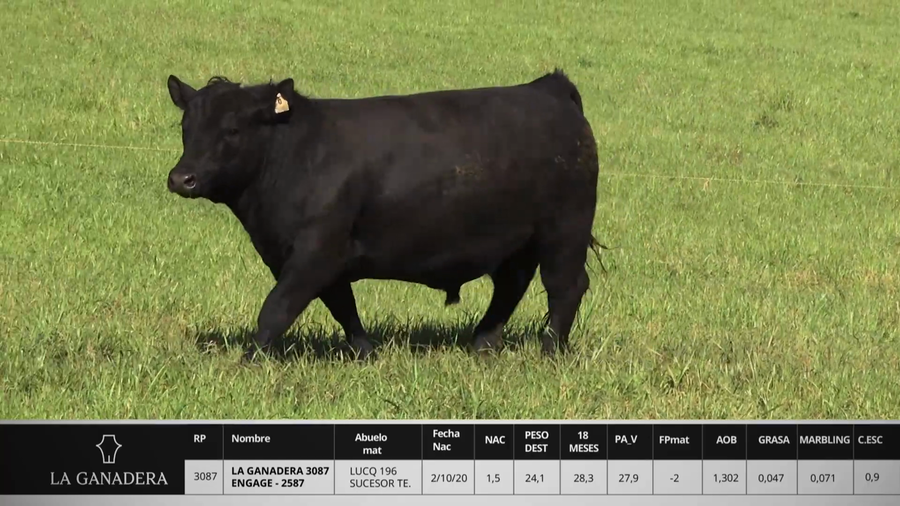 Lote LA GANADERA 3087 ENGAGE - 2587