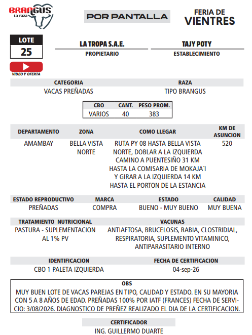 Lote LOTE 25 - POR PANTALLA