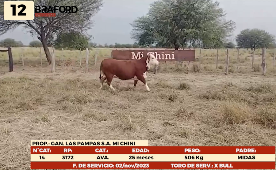 Imagen 1 del Lote Lote LOTE 12