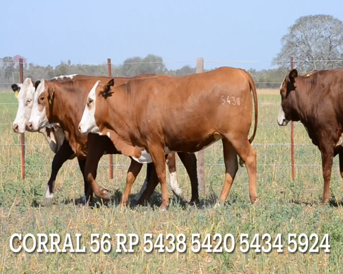 Lote CORRAL 56- CABAÑA LAS MERCEDES