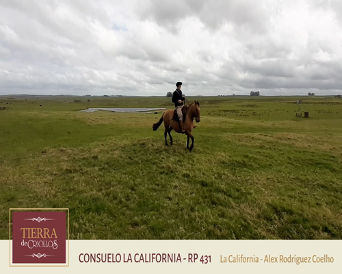 Lote Consuelo La California (RP 431) - Cabaña La California