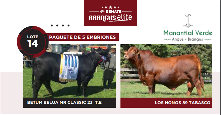 Lote Lote 5 embrioenes