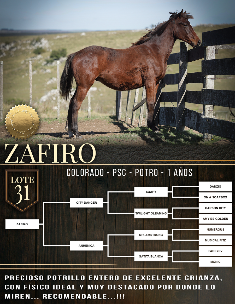Lote ZAFIRO
