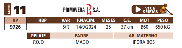 Lote LOTE 11
