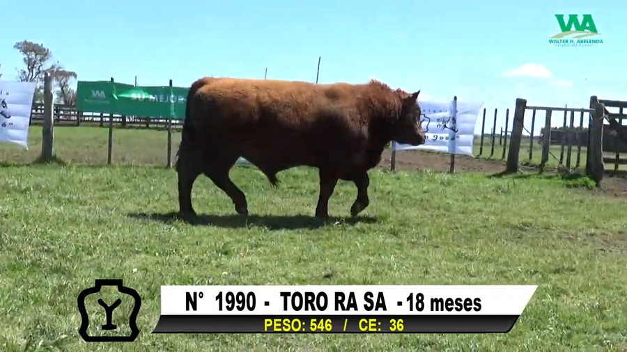 Lote TORO Nº 1990