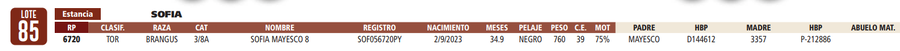 Lote LOTE 85