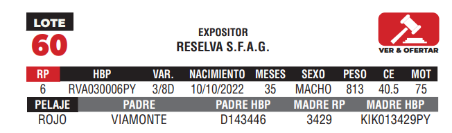 Lote LOTE 60 - CAMPO