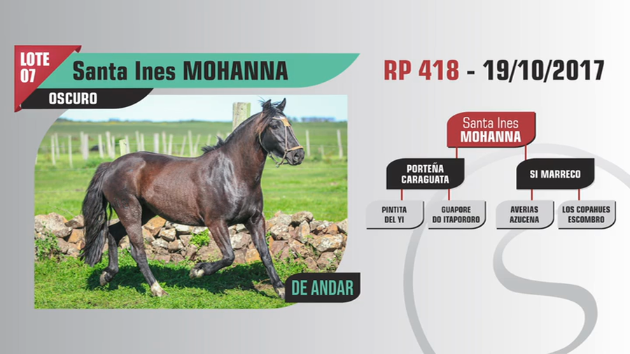 Lote Santa Ines MOHANNA