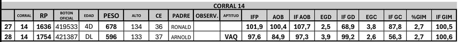 Lote 2 Toros PC