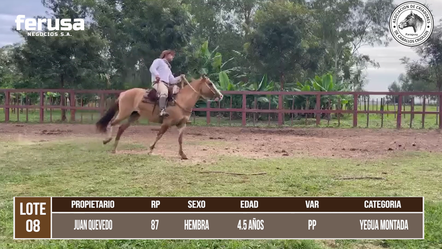 Lote LOTE 8 DE CAMPO
