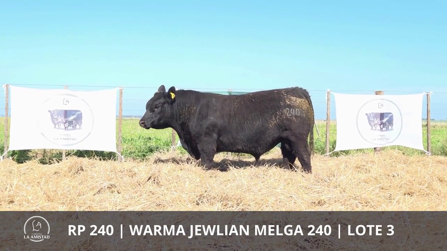 Lote TOROS PUROS DE PEDIGREE