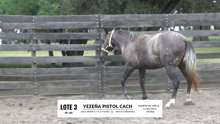 Lote YEZEÑA PISTOL CACH