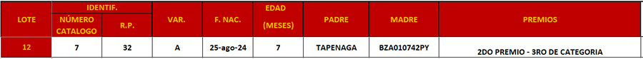 Lote LOTE 12