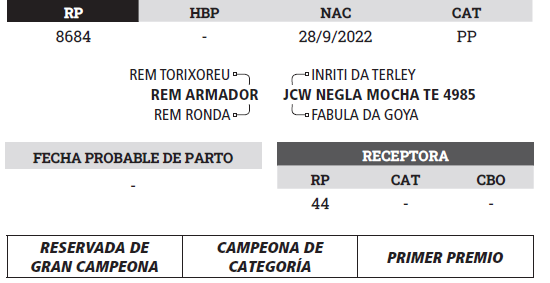 Lote LOTE 4 - PREÑECES
