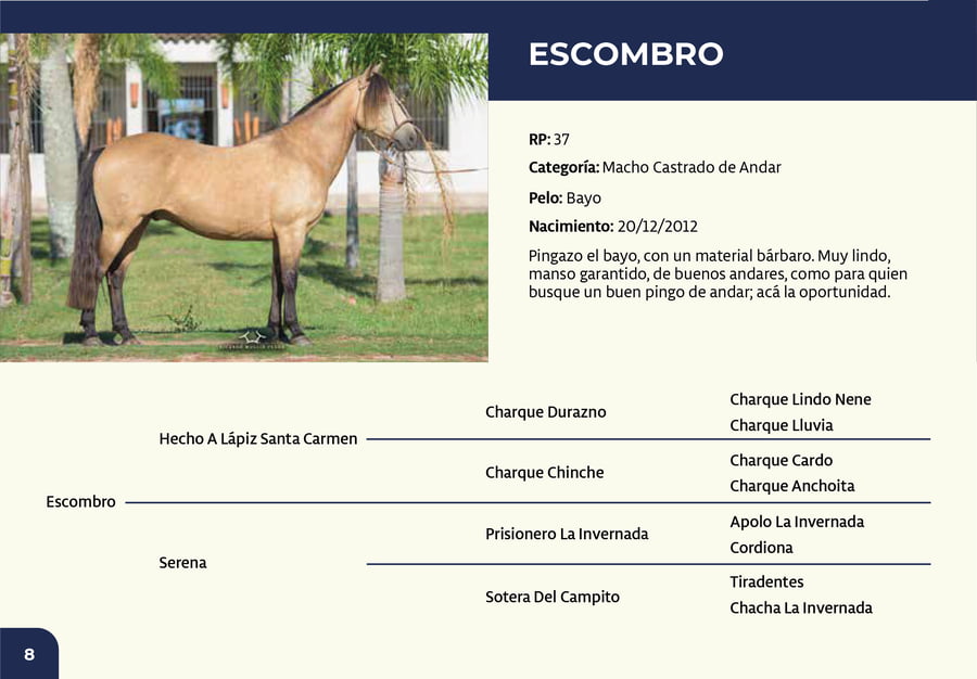 Lote RP 37- Escombro