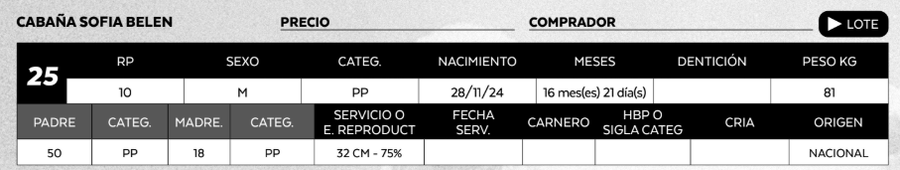 Lote LOTE 25
