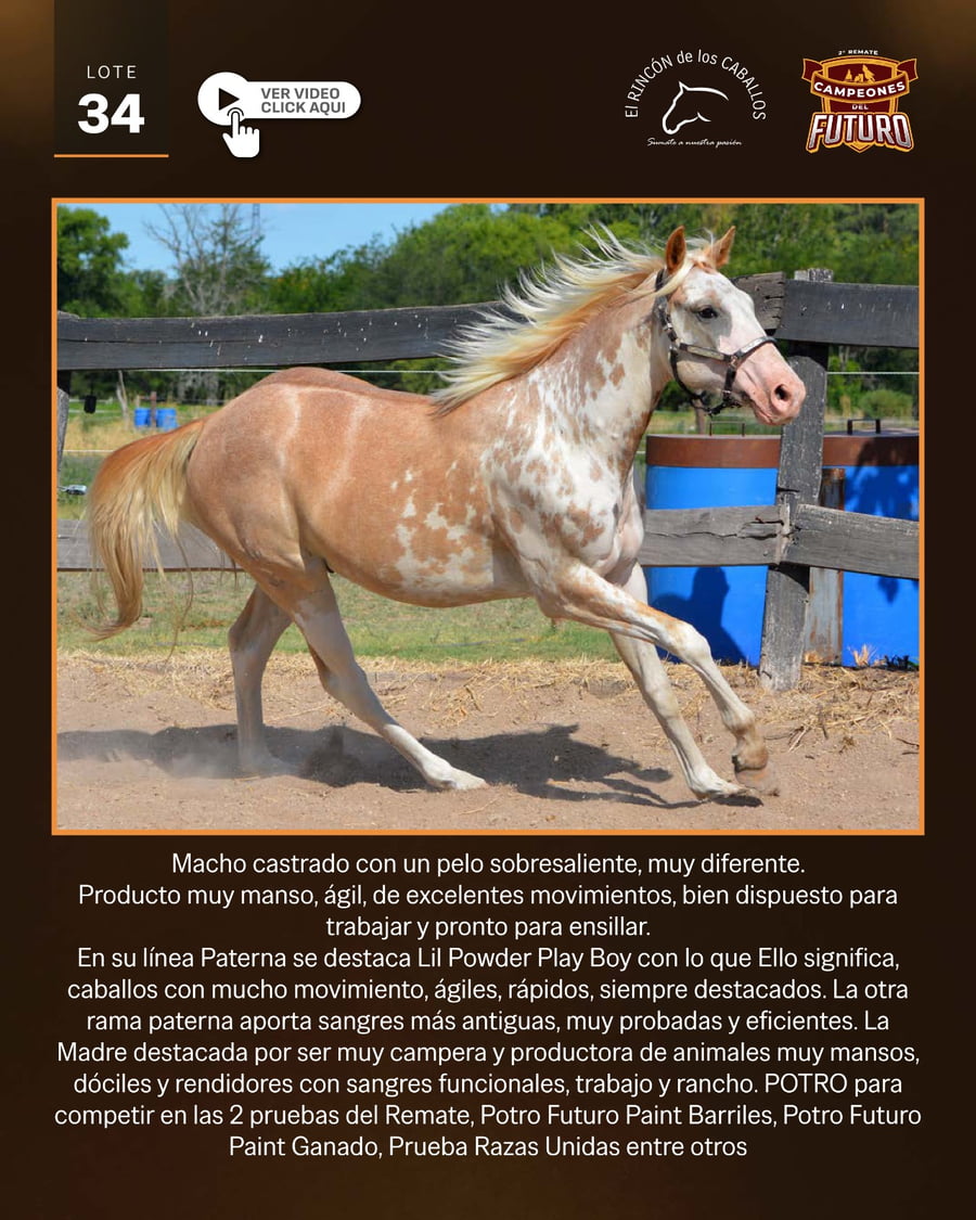 Lote RC CHAPULIN LIL
