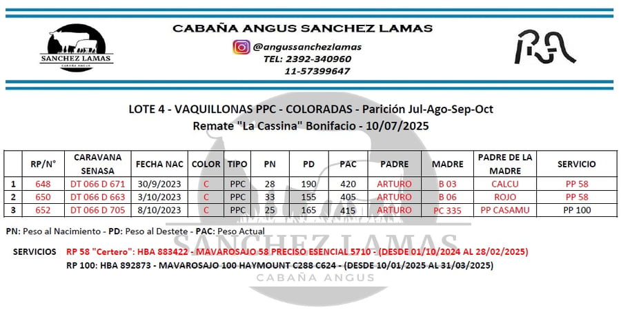 Lote VAQUILLONAS PPC COLORADAS