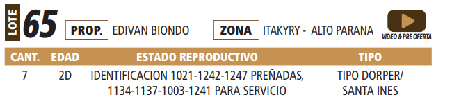 Lote LOTE 65 -POR PANTALLA
