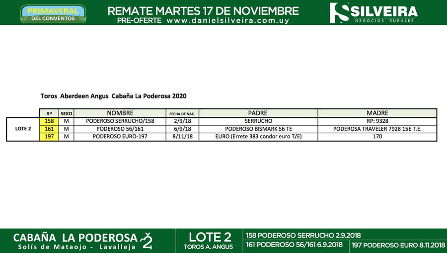 Lote Cabaña La Poderosa