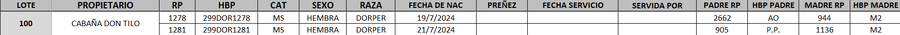 Lote LOTE 100
