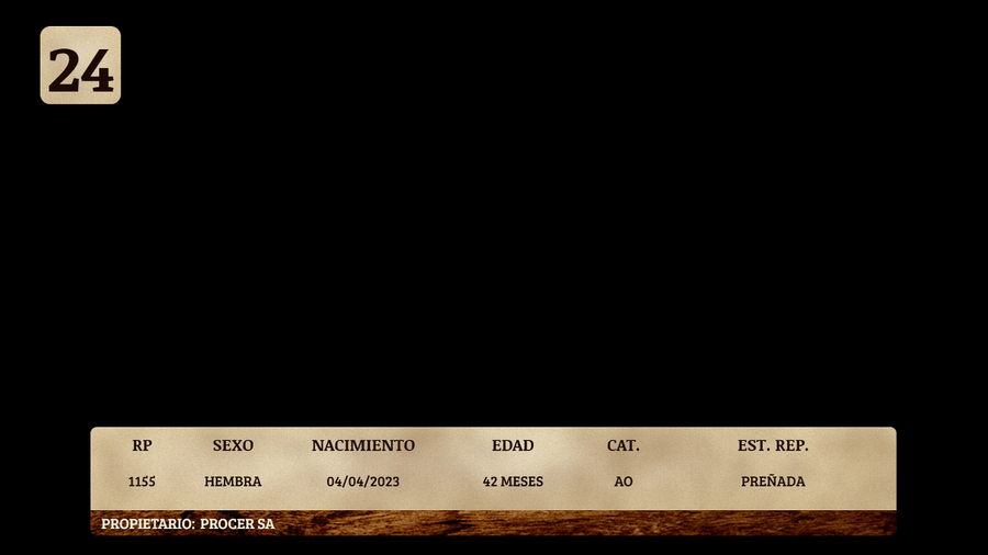 Lote LOTE 24