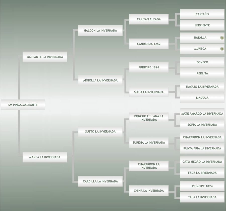 Lote SM Pinga Maleante