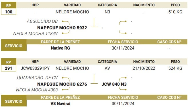 Lote LOTE 49