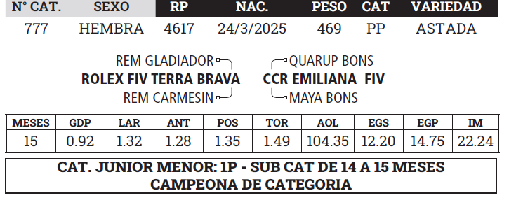 Lote LOTE 9 - BOZAL