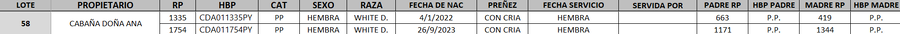 Lote LOTE 58- DESTACADO