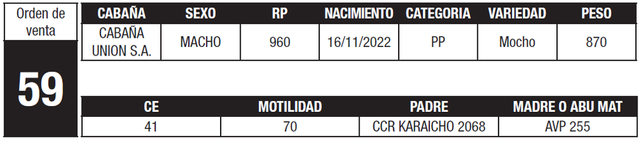 Lote LOTE 59