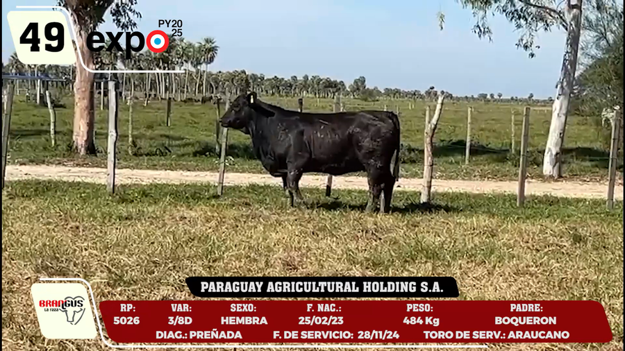 Lote LOTE 49