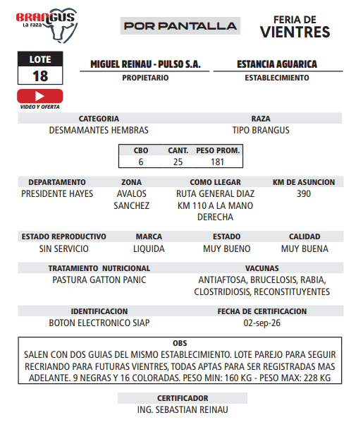 Lote LOTE 18 - POR PANTALLA