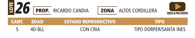 Lote LOTE 26 -POR PANTALLA