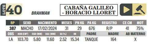 Lote LOTE 40