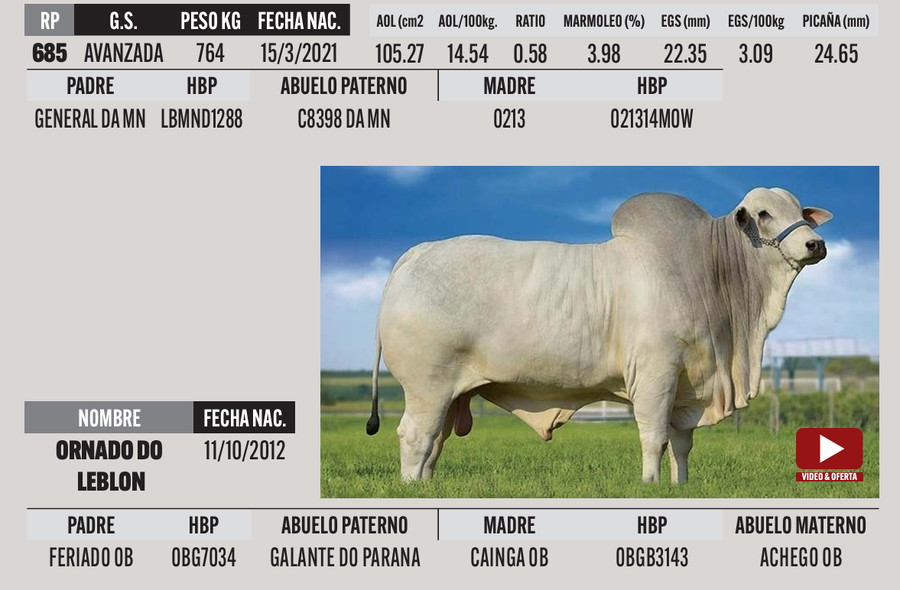 Lote LOTE 34