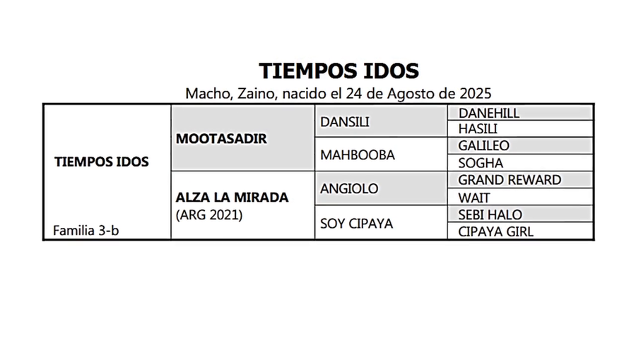 Lote TIEMPOS IDOS