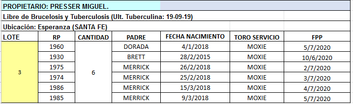 Lote 6 Vaquillonas preñadas en Esperanza, Santa Fe