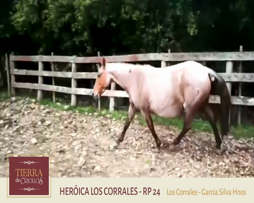 Lote Heroica Los Corrales (RP 24) - Cabaña Los Corrales