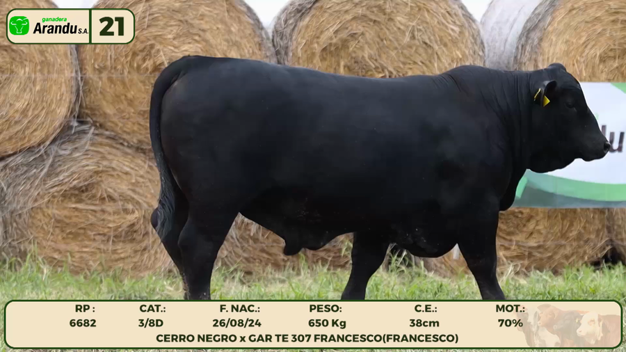 Lote LOTE 21