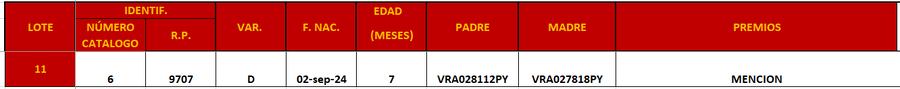 Lote LOTE 11