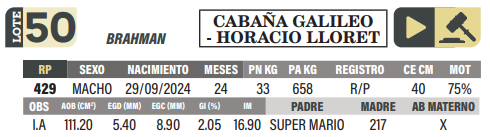 Lote LOTE 50