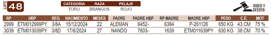 Lote LOTE 48