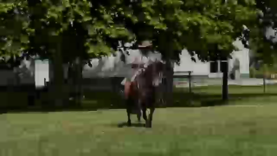 Lote Cañada Linda Moza (RP 380) Cabaña "La Cañada"