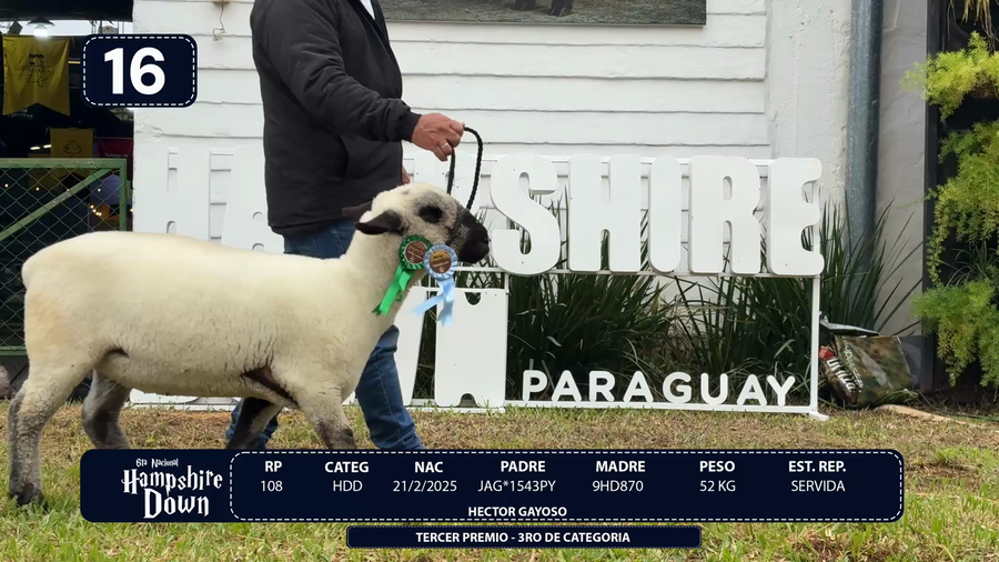Lote LOTE 16
