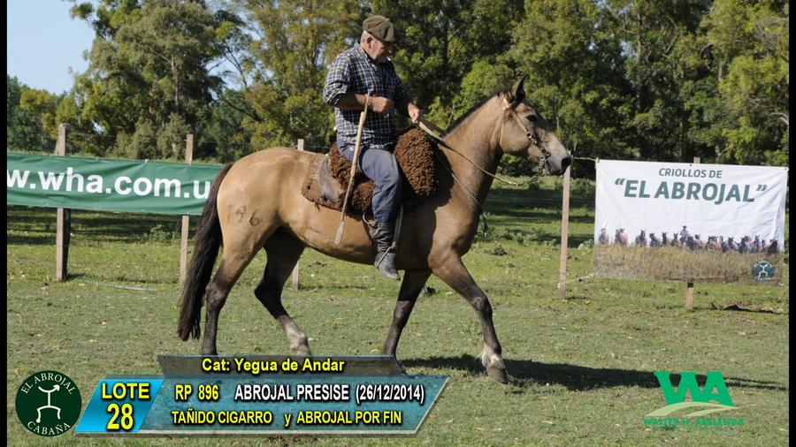 Lote ABROJAL PRESISE